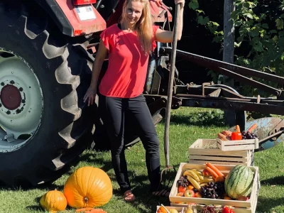 Obstlieferung für Firmen | Obstkiste Obstkorb Büro Obst Abo