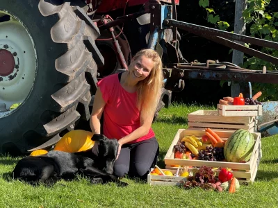 Obstlieferung für Firmen | Obstkiste Obstkorb Büro Obst Abo