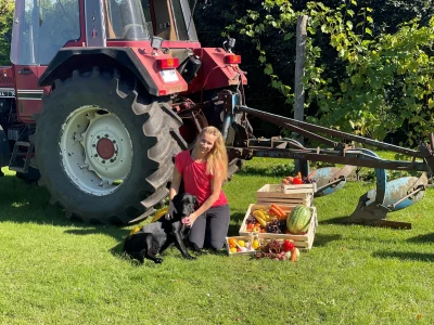 Obstlieferung für Firmen | Obstkiste Obstkorb Büro Obst Abo